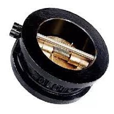 Zoloto C.I Dual Plate Wafer Type Check Valve PN -16: 80 mm